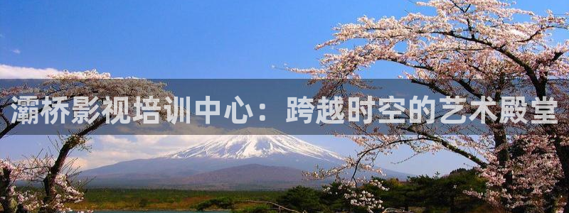 神马影院午夜.